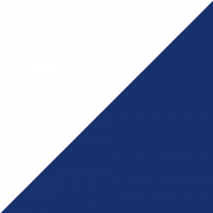 Kantey-&-Templer-Website-What-We-Do-Blue-Triangle